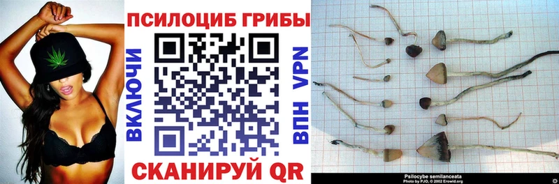 что такое наркотик  shop клад  hydra маркетплейс  Галлюциногенные грибы GOLDEN TEACHER  Щучье 
